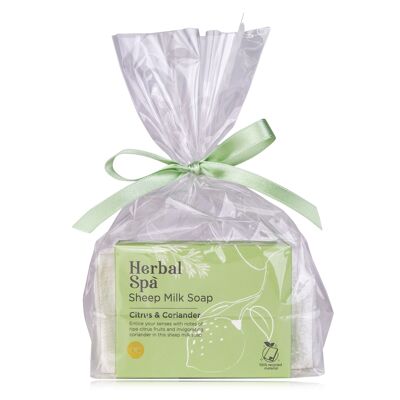 HERBAL SPA hand care set