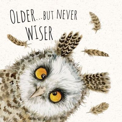Funny Card Owl Never Wiser