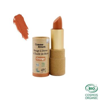 Maquillage - Présentoir de 16 rouges à lèvres bio + 4 testeurs 6