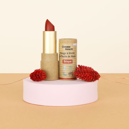 Maquillage - Rouge à lèvres bio - Brique