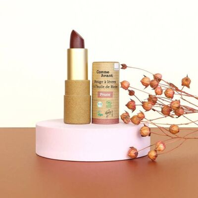 Make-up – Bio-Lippenstift – Pflaume