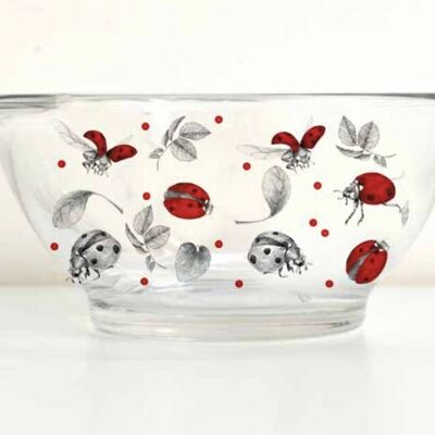 children's tableware, children's glass ladybug ear bowl