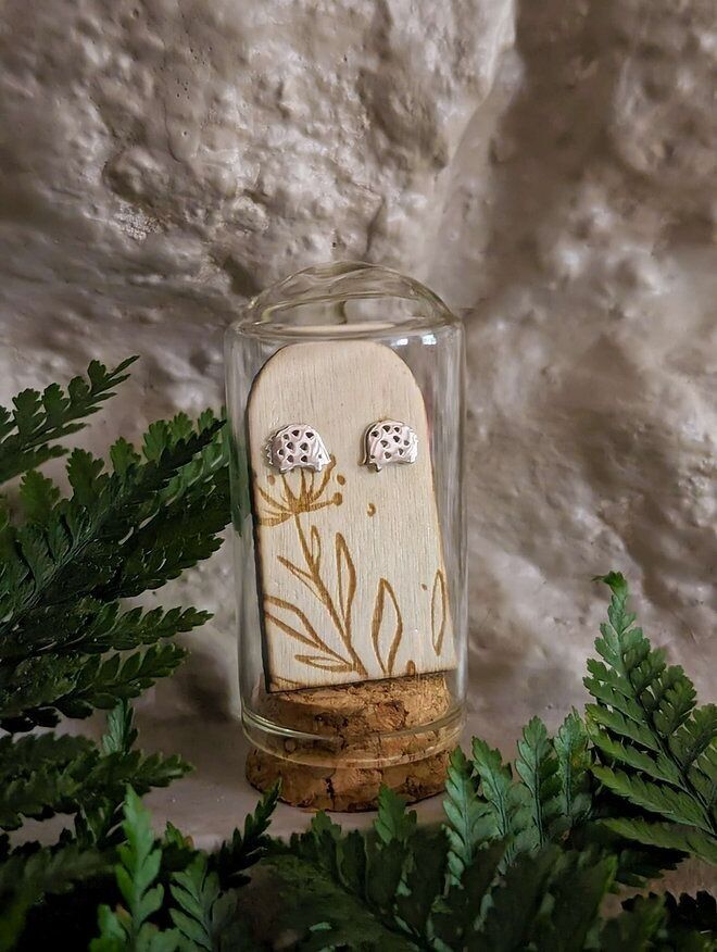 Igel-Sterlingsilber-Ohrstecker in Glas-Terrariumröhre