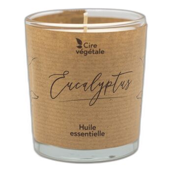 Bougie parfumée cire végétale - Huile essentielle d'eucalyptus 1