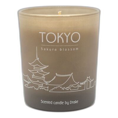 Scented vegetable wax candle - City - Tokyo