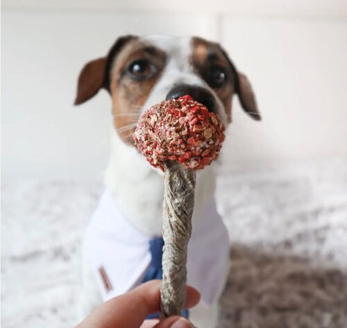 Valentine's Lollipop