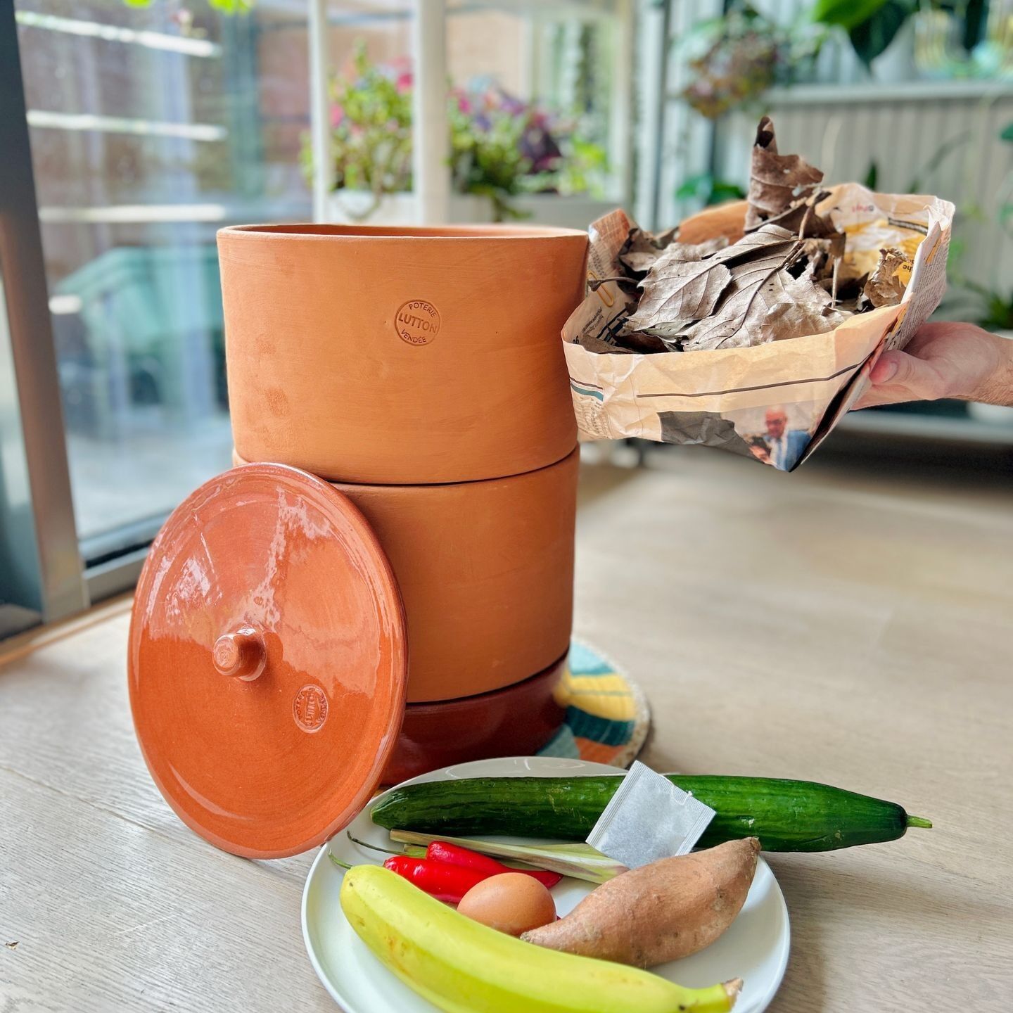 Il verme composter da cucina