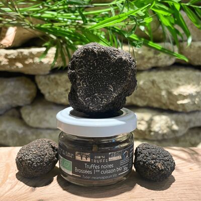 Organic Brushed Black Truffles 1st Cooking 20G