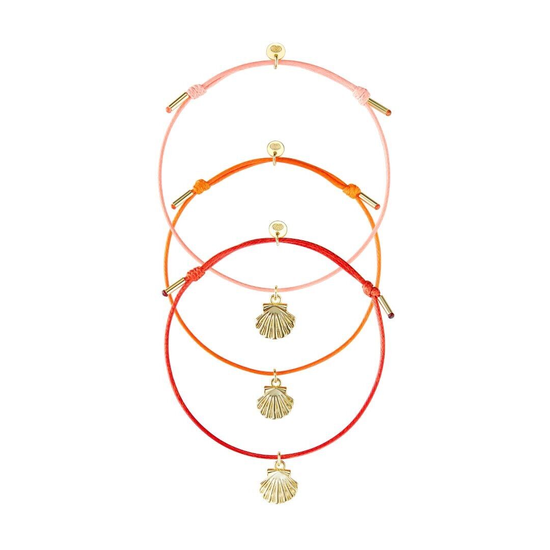 Bracciale in cordoncino con la sua conchiglia in set di 3 colori