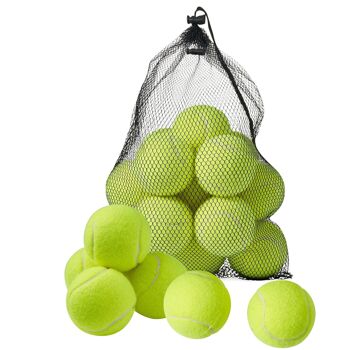 15 balles de tennis avec sac de rangement en filet 1