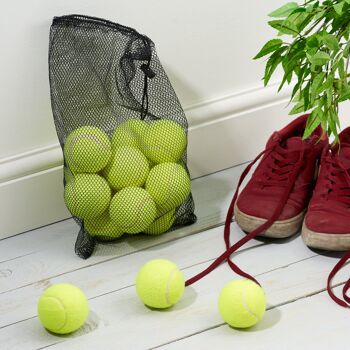 15 balles de tennis avec sac de rangement en filet 3