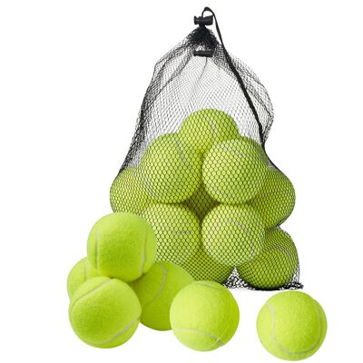 15 palline da tennis con custodia in rete