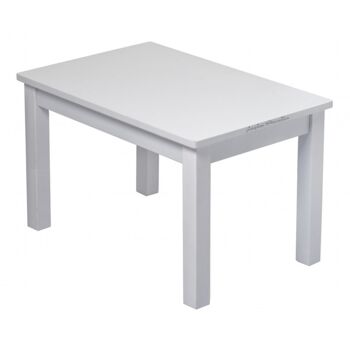 Ensemble Table et 2 Chaises Montessori - Enfant 1-4 ans - Bois massif - Gris 2