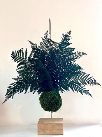 Kokedama stand with wooden base and stainless steel hook 2