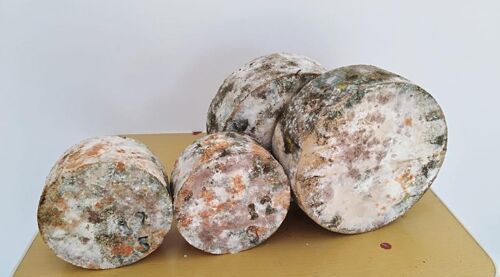 Queso Gamoneu del Valle DOP Queseria Demues 5Kg