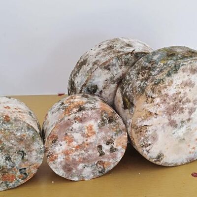 Queso Gamoneu del Valle DOP Queseria Demues 5Kg