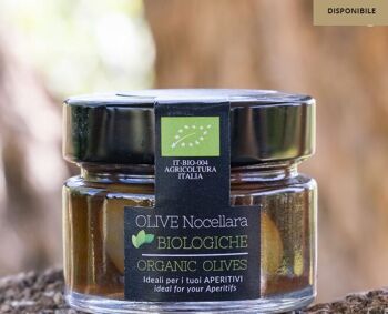 Olives Nocellara biologiques en saumure