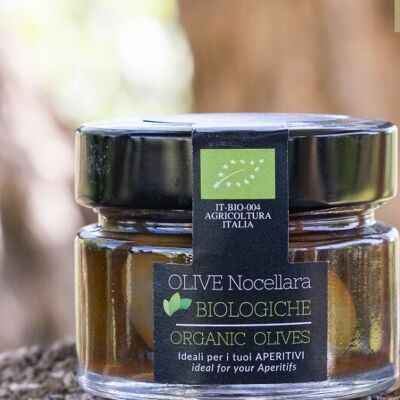 Bio-Nocellara-Oliven in Salzlake