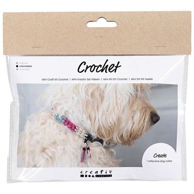 Kit DIY crochet - Collier pour chien réfléchissant