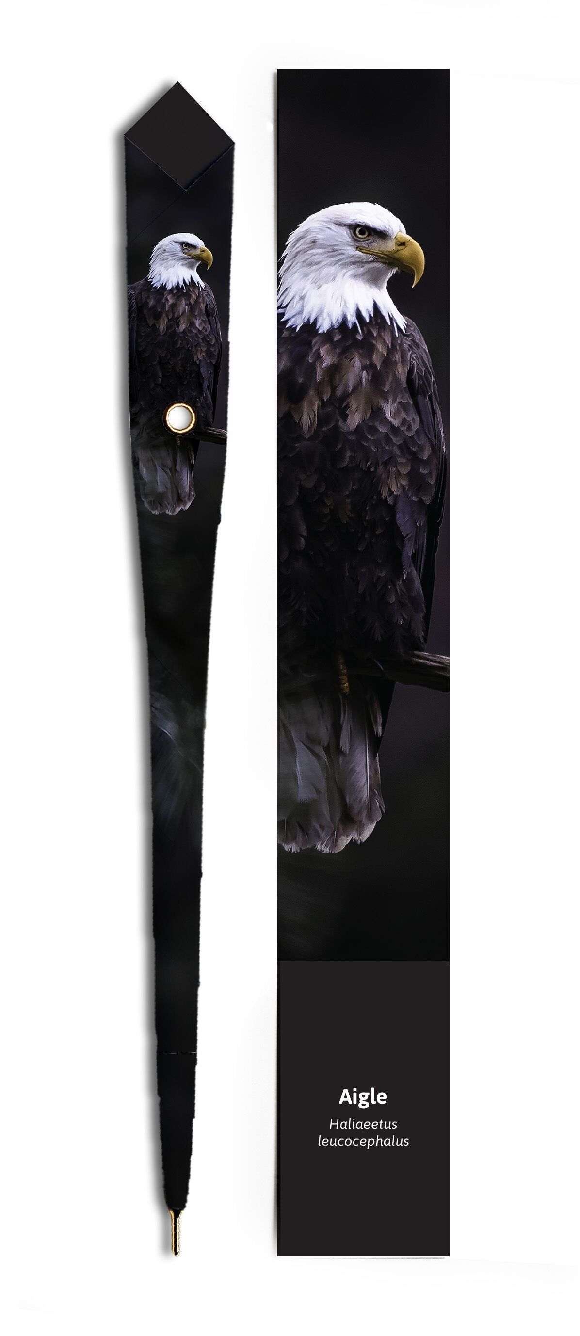 PENNA IN CARTA + SEGNO PAGINA - AQUILA