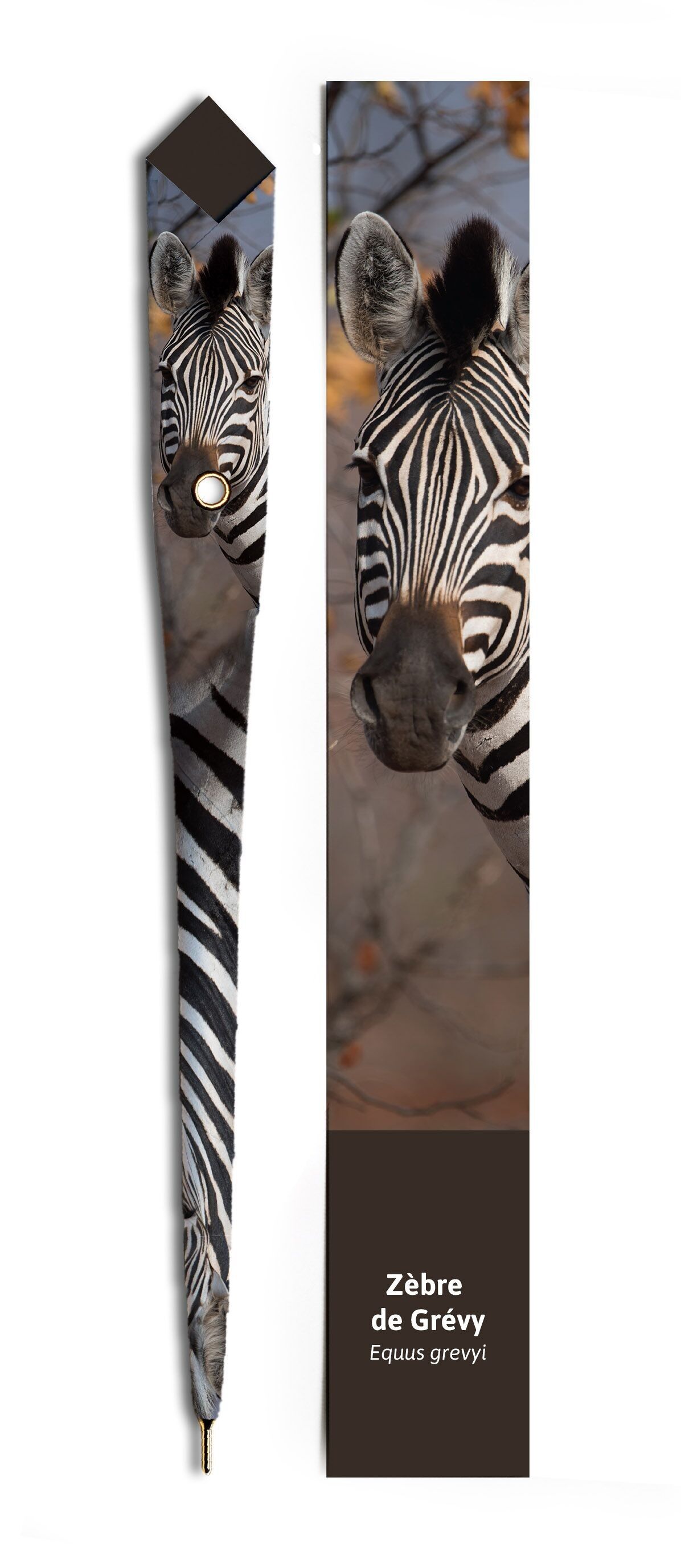 PAPIERSTIFT + SEITENZEICHEN – ZEBR