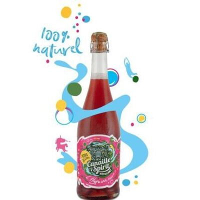 Honig-Hibiskus-Apfel-Sprudelgetränk – 75 cl