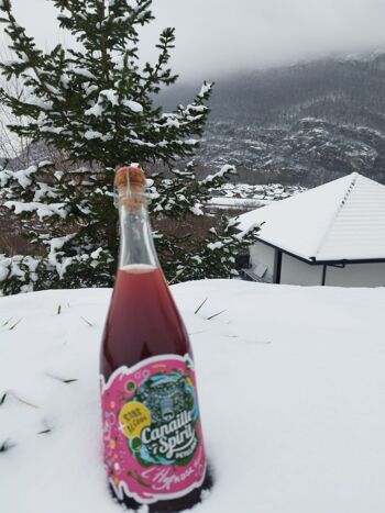 Boisson Pétillante Miel Hibiscus Pommes – 75Cl 2