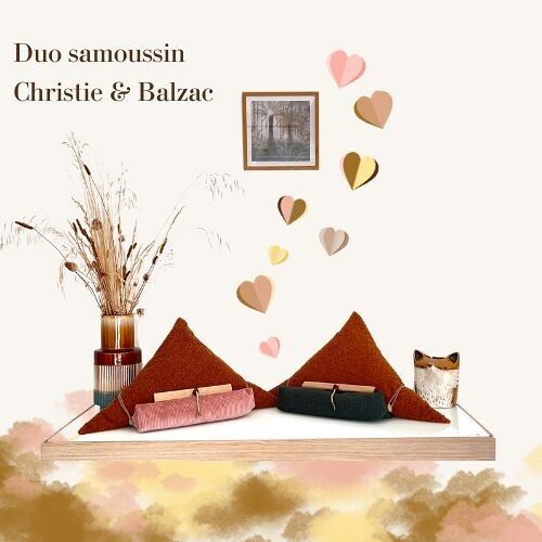 DUO Potre-Livre Samoussin spécial Saint-Valentin Coussin de Lecture