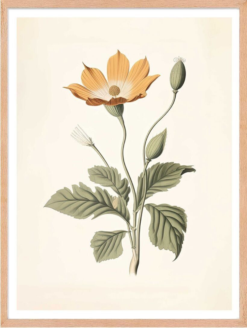 Poster – Enzyklopädie 01 (30 x 40 cm) – Hartman AI