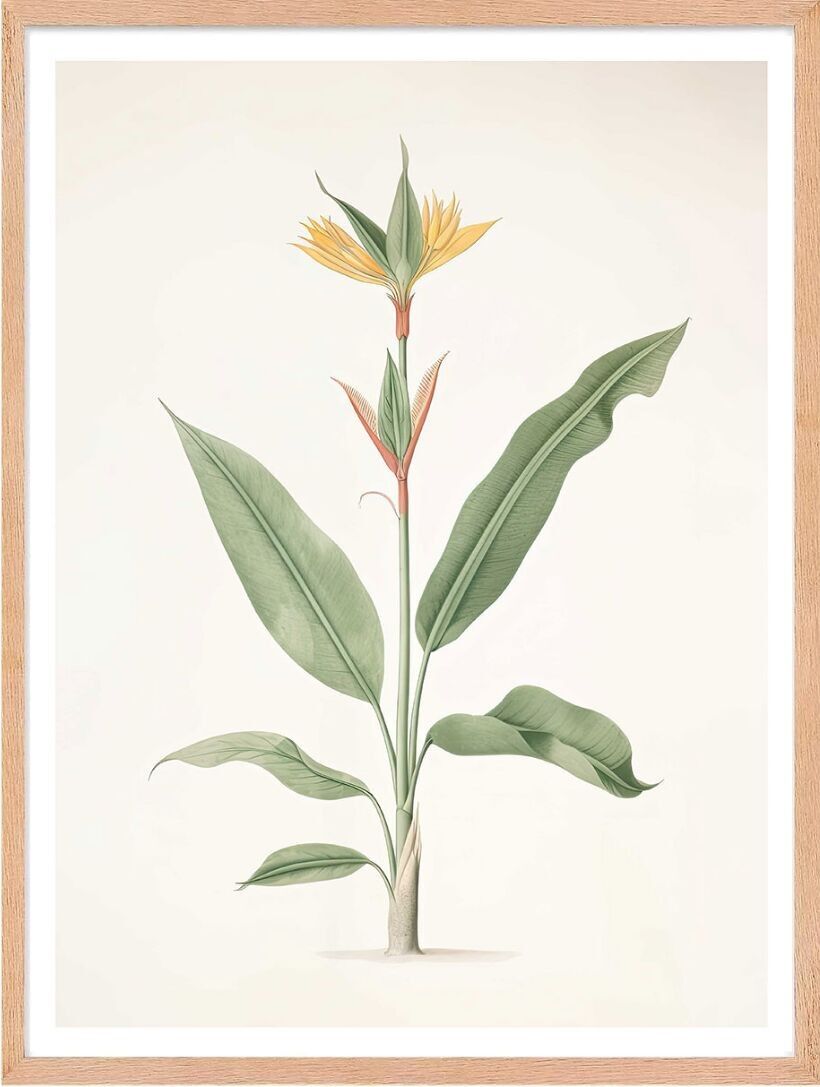 Affiche - Encyclopedia 02 (30x40 cm) - Hartman AI