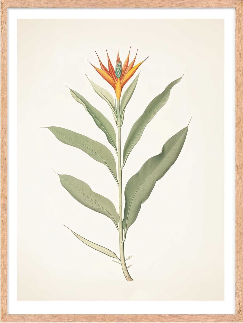 Poster - Enciclopedia 04 (30x40 cm) - Hartman AI