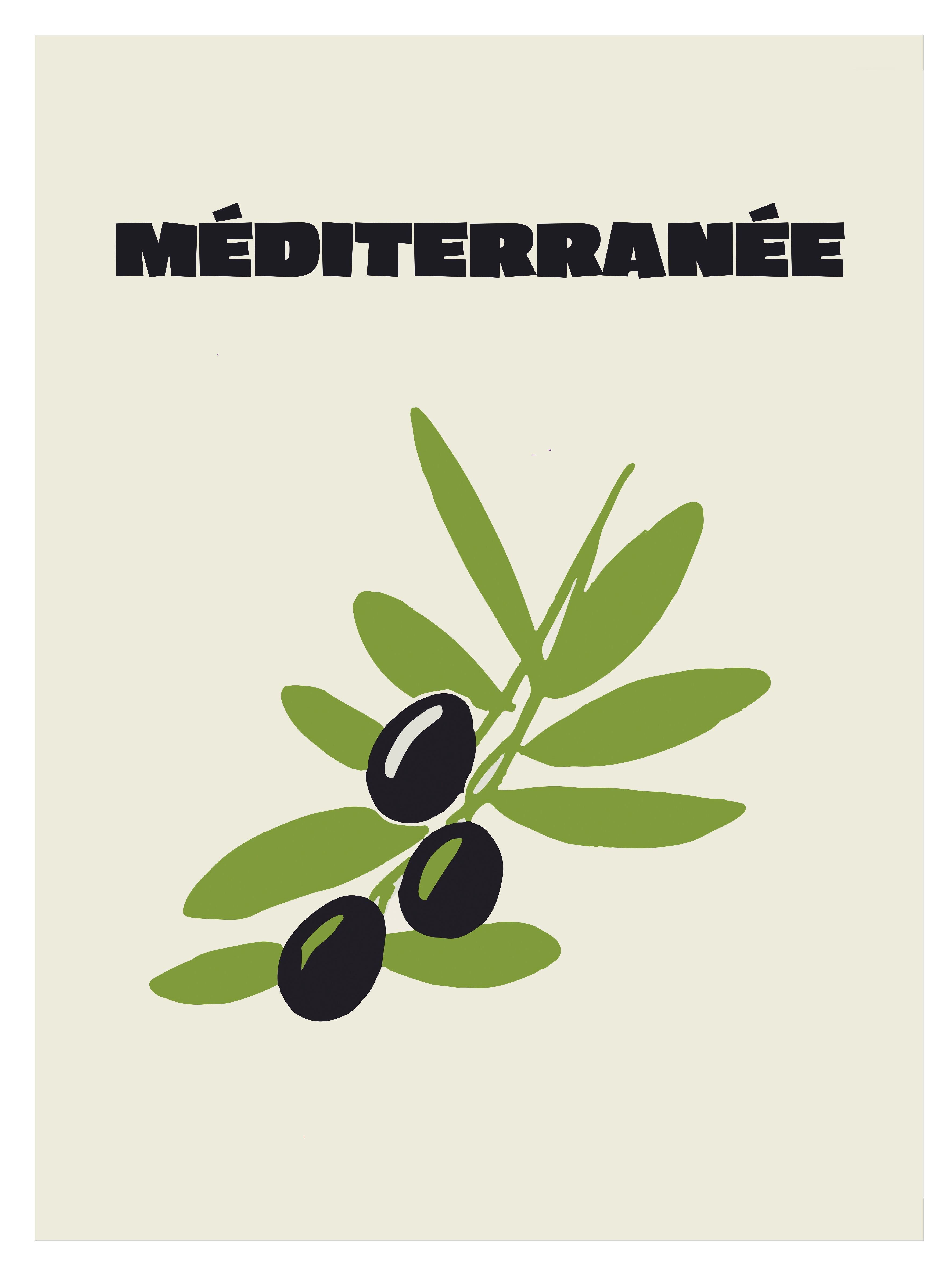 Poster – Terra e Costa 12 (50 x 70 cm) – Hartman AI