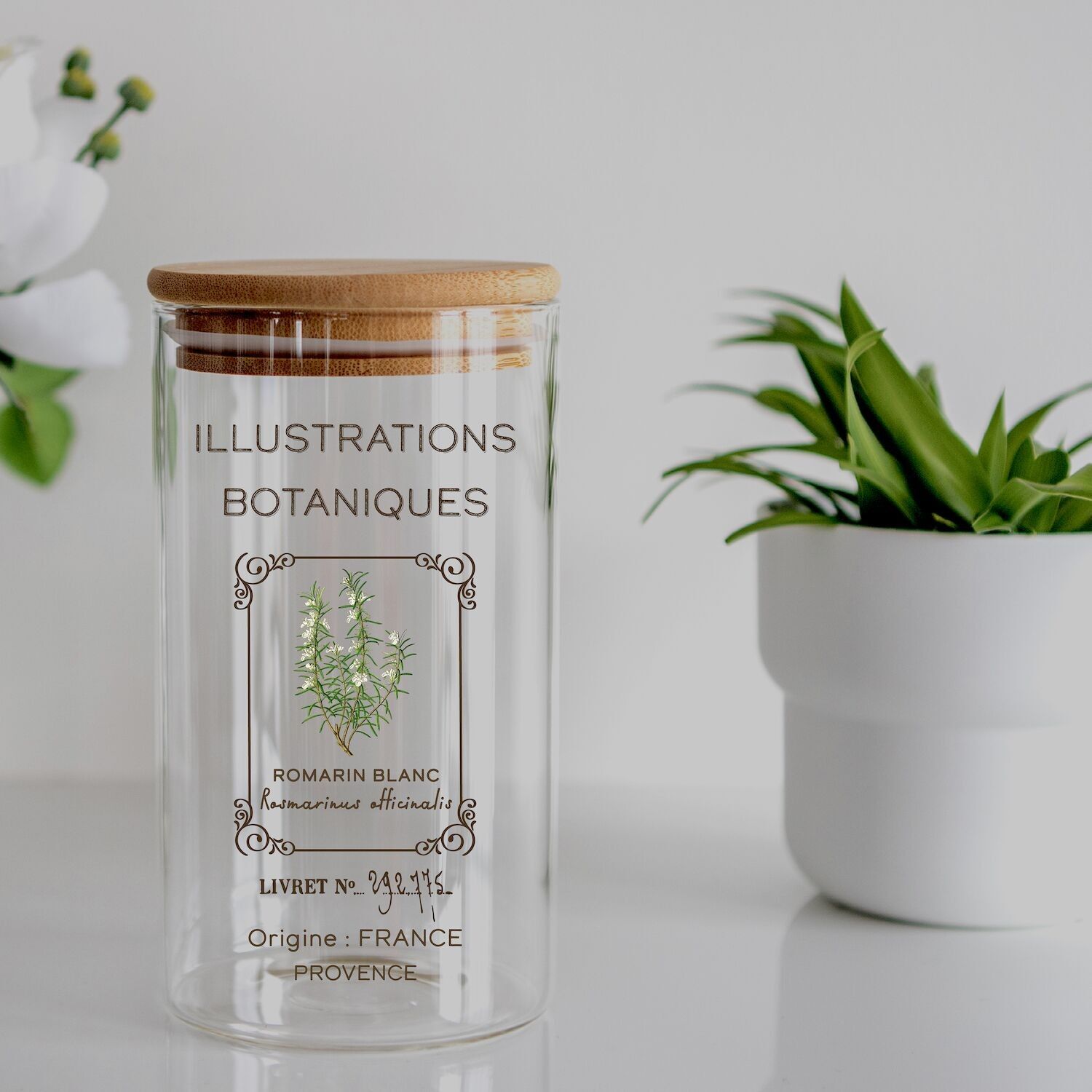 Dekorativer Transfer BOTANISCHE ILLUSTRATIONEN