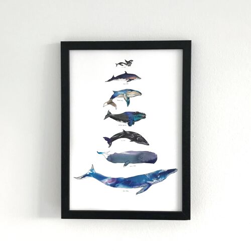 Whale Scale Foiled Art Print