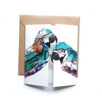 Parrots Kiss Card