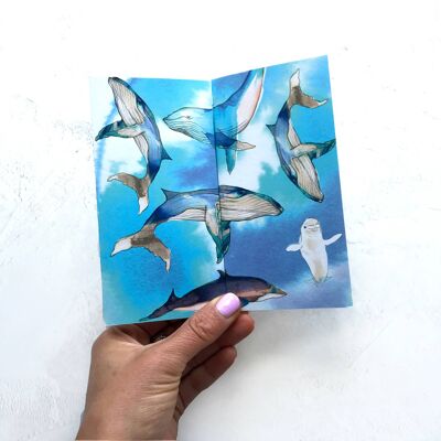 Whales Panorama Card