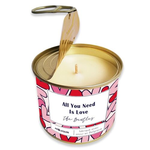Bougie Saint-Valentin "All you need is love" (Harry)