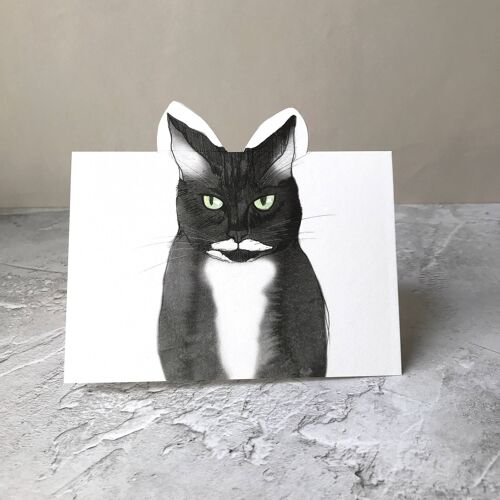 Pop Up Cat Card Twinkle