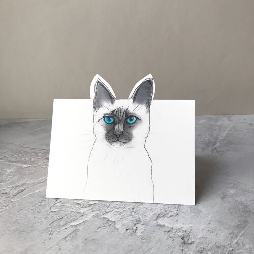 Pop Up Cat Card Baby