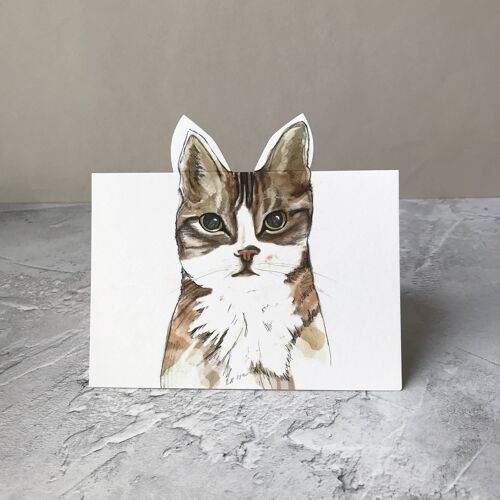 Pop Up Cat Card Maxi