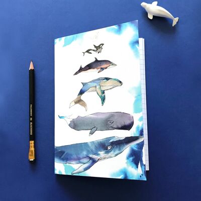 Quaderno con scaglie di balena