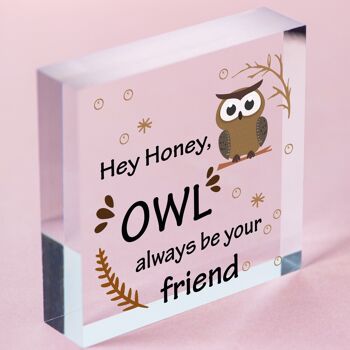 Plaque en forme de cœur à suspendre en bois, hibou, soyez toujours votre ami, joli cadeau d'amitié, sac non inclus 2