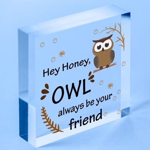 Owl Always Be Your Friend Wooden Hanging Heart Plaque Sign Cute Friendship Gift - Bag Included