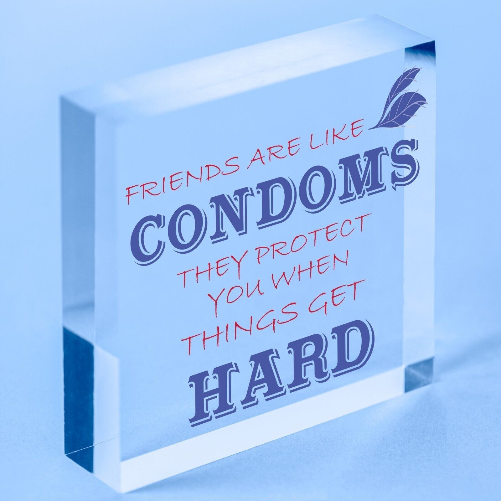 Lustiges, unhöfliches Freundschaftsschild, Geschenk für beste Freundin, originelles Geburtstagsschild zum Aufhängen, Geschenk – Tasche nicht im Lieferumfang enthalten