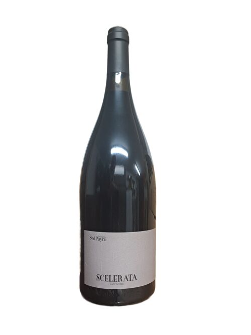 Magnum Scelerata 2021 - vin rouge