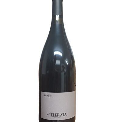 Magnum Scelerata 2021 - red wine