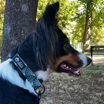 Collier tissu pour chien Paon 2