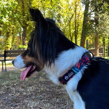 Collier tissu pour chien Envoûtant 2