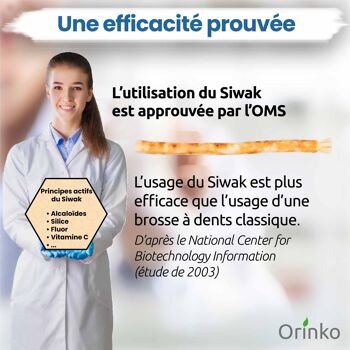 Lot de 5 Bâtons de Siwak + Étui de protection – Brosse à Dents 100% Naturelle – Nettoyant, Désinfectant et Blanchissant - Écologique, Biodégradable et Végan 3