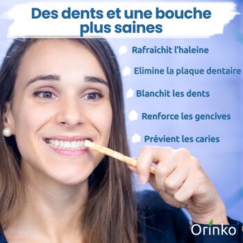 Lot de 5 Bâtons de Siwak + Étui de protection – Brosse à Dents 100% Naturelle – Nettoyant, Désinfectant et Blanchissant - Écologique, Biodégradable et Végan 5